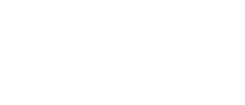 Delhez Systemes